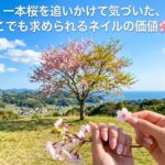 一本桜を追いかけて気づいた、どこでも求められるネイルの価値