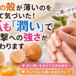 卵の殻が薄いのを見て気づいた！爪も「潤い」で衝撃への強さが変わります